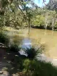 SHARLOT2427 — Stripchat stream photo (Dec 2025)