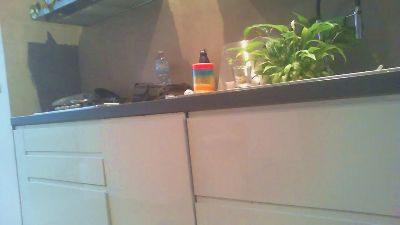 MarkFelicitas — Cam4 stream photo (Apr 2026)