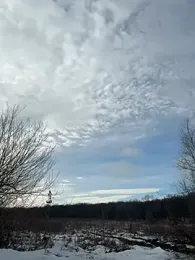 Marina- — stripchat