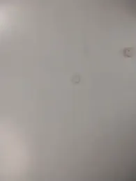 Alleinzuhause — Stripchat stream photo (Jan 2026)