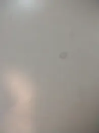 Alleinzuhause — Stripchat profile photo