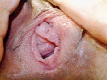 hotmiamix — Bongacams stream photo (Feb 2026)