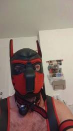 MastermitFaggot — Cam4 stream photo (Sep 2026)