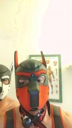 MastermitFaggot — Cam4 stream photo (Sep 2026)