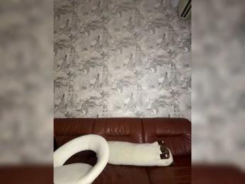 ---oTo-Toy--- — bongacamsでウェブカムモデルオンライン