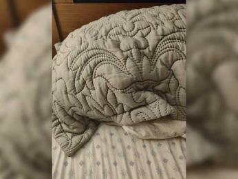 Gatitaqueen — bongacams