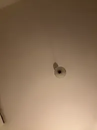 SophiiaStarr — stripchatでウェブカムモデルオンライン