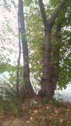 odidonc — Cam4 profile photo