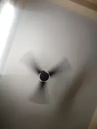 Sexyqueen444 — Stripchat stream photo (Oct 2025)