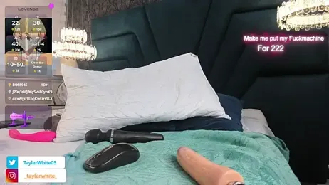 TaylerWhite — stripchat