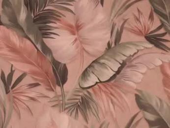 zara_shine — chaturbateでウェブカムモデルオンライン