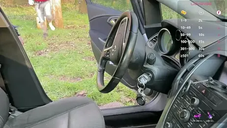 breizh22BB — stripchatでウェブカムモデルオンライン