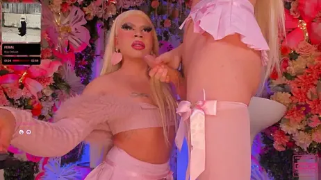 SpicySluts — Stripchat profile photo