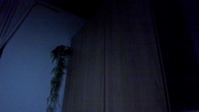 DulceSmilee — Cam4 stream photo (Jun 2026)