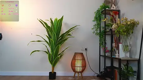 MaydaCornwall — stripchatでウェブカムモデルオンライン