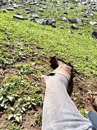 murokkk31 — Stripchat stream photo (Mar 2026)