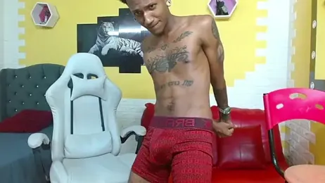 ManSant — Stripchat stream photo (May 2026)