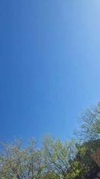 notarealman2025 — Cam4 profile photo