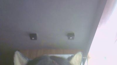 SkinnyKittenCam — Cam4 stream photo (Apr 2026)