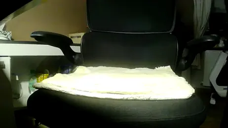 suedel65 — Stripchat stream photo (Mar 2026)