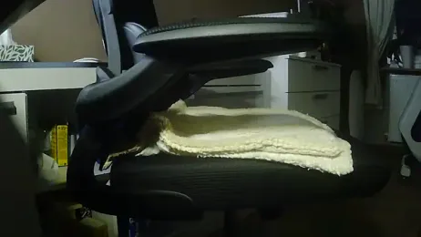 suedel65 — Stripchat stream photo (Mar 2026)