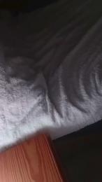 Trompa17 — Cam4 stream photo (Feb 2026)