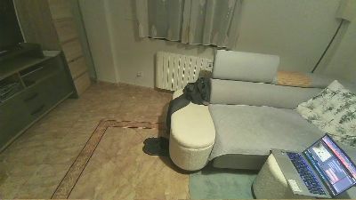 xalegarmax — Cam4 stream photo (Jan 2026)