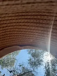 AmmyHot — Stripchat stream photo (Mar 2026)