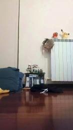 gabbus — Cam4 stream photo (Apr 2026)