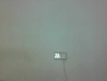 Hotybobbies — bongacams