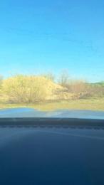 Gerontofilia — cam4でウェブカムモデルオンライン