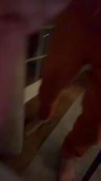 HungHappy — Cam4 stream photo (Mar 2026)