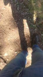 wolfi80 — cam4でウェブカムモデルオンライン