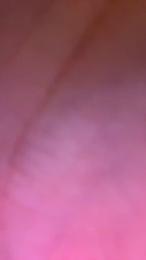 Mattihot5 — Cam4 stream photo (Mar 2026)