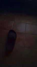 jesusnoemi — Cam4 stream photo (Feb 2026)