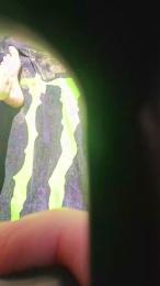 1naughtyboy — Cam4 stream photo (Jul 2026)