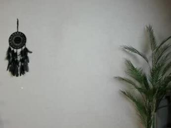 euphoria_life — chaturbateでウェブカムモデルオンライン