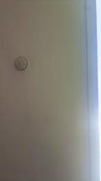darklunasexy — Cam4 stream photo (Aug 2026)