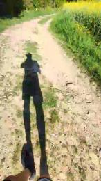 Legtiste — Cam4 stream photo (Apr 2026)