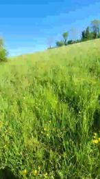 Legtiste — Cam4 stream photo (Apr 2026)