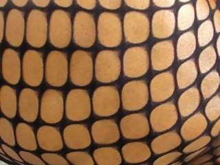 alishagoddes — Camsoda stream photo (Jun 2026)