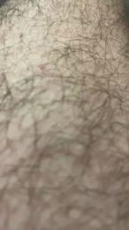 Pollonnnn — Cam4 stream photo (Sep 2026)