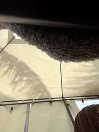 Natalia_vidal — Stripchat stream photo (Feb 2026)