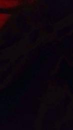 osopajas2 — Cam4 stream photo (Jul 2026)