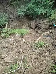 Eroticdick69 — Stripchat stream photo (Sep 2025)