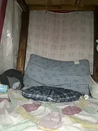 daaqnn — stripchat