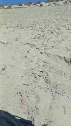 daniel69sexyhot — Cam4 stream photo (Jul 2026)
