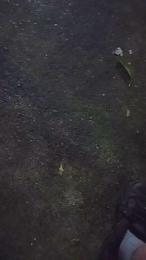 hardsexlove08 — cam4でウェブカムモデルオンライン