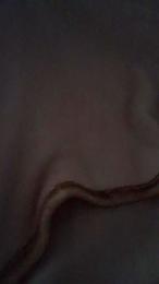 layla229 — Cam4 stream photo (Mar 2026)