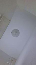 layla229 — Cam4 stream photo (Mar 2026)